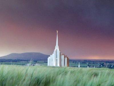 The Rexburg Temple across a wheat field at sunset